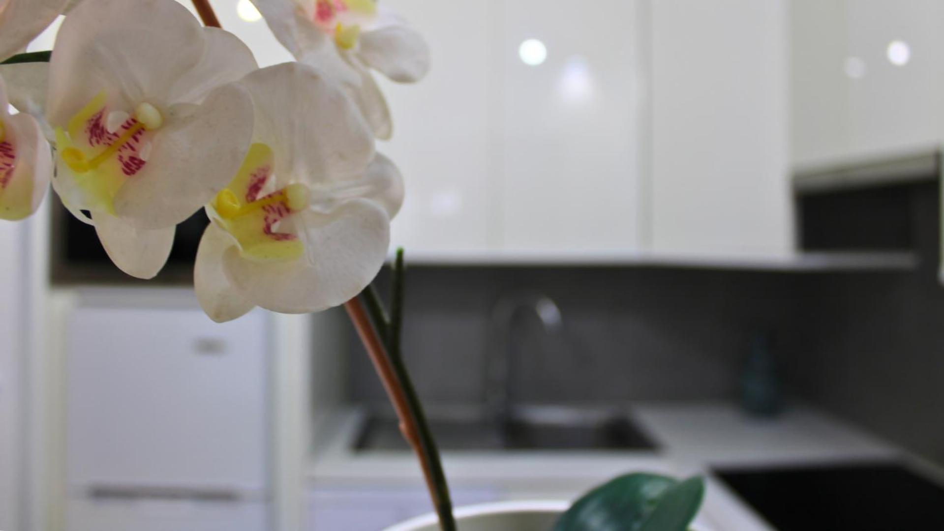 Markethome Mareverde Studio Costa Adeje  ภายนอก รูปภาพ